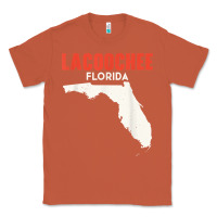 Copper lacoochee florida usa state america travel floridian t shirt Classic Tee - longCreatives