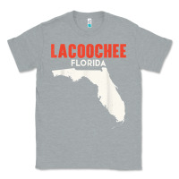 Heather Grey lacoochee florida usa state america travel floridian t shirt Classic Tee - longCreatives