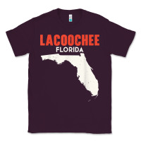Plum lacoochee florida usa state america travel floridian t shirt Classic Tee - longCreatives