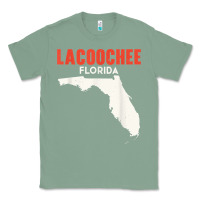 Sage lacoochee florida usa state america travel floridian t shirt Classic Tee - longCreatives
