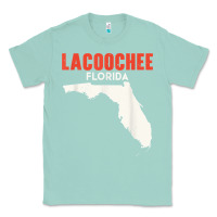 Seafoam lacoochee florida usa state america travel floridian t shirt Classic Tee - longCreatives