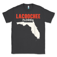 Smoke lacoochee florida usa state america travel floridian t shirt Classic Tee - longCreatives