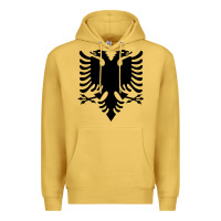 Antique Gold Albanian Flag Eagle Double Red Albania Shqipe Kosovo Premium Hoodie - longCreatives