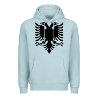 Blue Mist Albanian Flag Eagle Double Red Albania Shqipe Kosovo Premium Hoodie - longCreatives