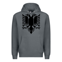 Rock Albanian Flag Eagle Double Red Albania Shqipe Kosovo Premium Hoodie - longCreatives