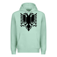 Seafoam Albanian Flag Eagle Double Red Albania Shqipe Kosovo Premium Hoodie - longCreatives