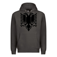 Smoke Albanian Flag Eagle Double Red Albania Shqipe Kosovo Premium Hoodie - longCreatives