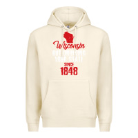 Tofu Wisconsin Out Drinking Your State Since 1848 Premium Hoodie - longCreatives