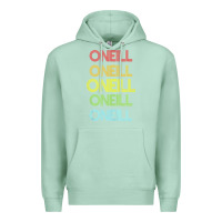 Seafoam Oneill Name Premium Hoodie - longCreatives