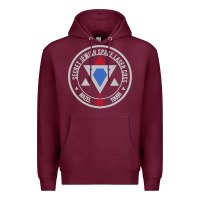 Burgundy Secret Jewish Space Laser Corps Mazel Tov Funny Prank Premium Hoodie - longCreatives