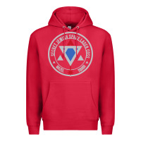 Cardinal Secret Jewish Space Laser Corps Mazel Tov Funny Prank Premium Hoodie - longCreatives