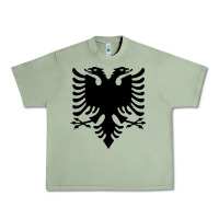 Oil Green Albanian Flag Eagle Double Red Albania Shqipe Kosovo Urban Heavy Tee - longCreatives