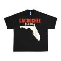 Lacoochee Florida Usa State America Travel Floridian T Shirt Urban Heavy Tee | Teevron