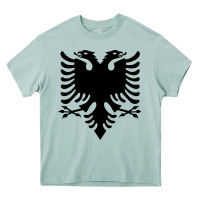 Arona Albanian Flag Eagle Double Red Albania Shqipe Kosovo Heavy Core Tee - longCreatives