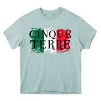 Arona cinque terre italy travel distressed t shirt Heavy Core Tee - longCreatives