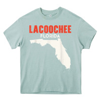 Arona lacoochee florida usa state america travel floridian t shirt Heavy Core Tee - longCreatives
