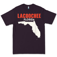 Plum lacoochee florida usa state america travel floridian t shirt Premium Tee - longCreatives
