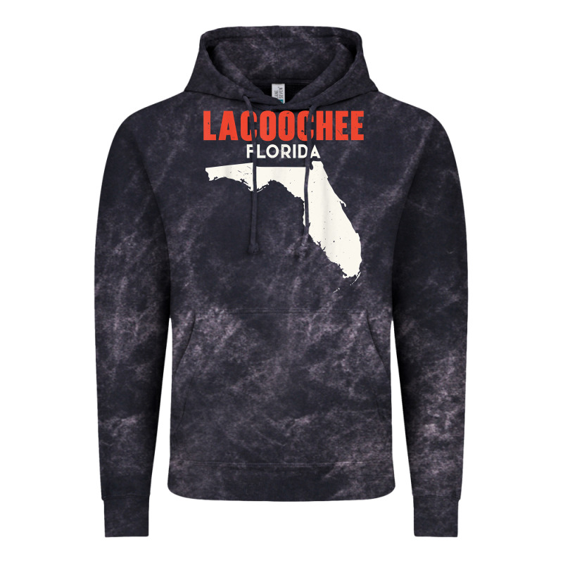 Lacoochee Florida Usa State America Travel Floridian T Shirt Vintage Hoodie by longCreatives | Teevron