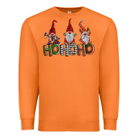 Carrot ho ho. ho gnomes Premium Sweatshirt - BarkalooDesign