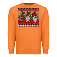 Carrot Christmas gnomes Premium Sweatshirt - BarkalooDesign