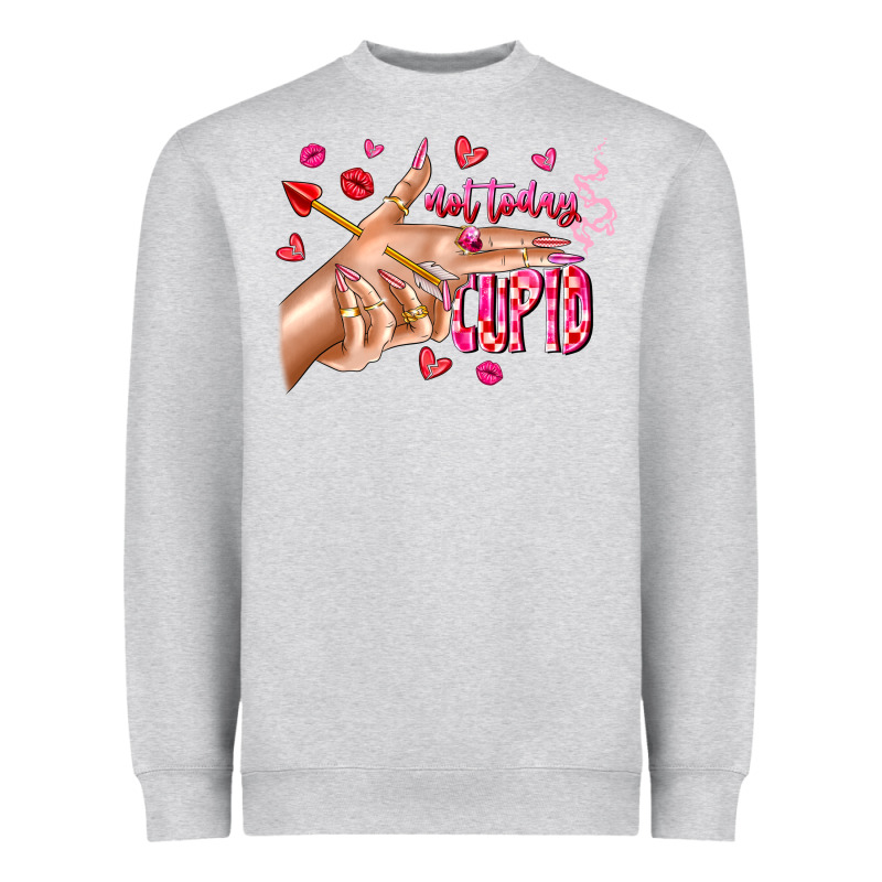 Not Today Cupid Heavyweight Sweatshirt by CowhideDigitalArt | Teevron