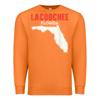 Carrot lacoochee florida usa state america travel floridian t shirt Premium Sweatshirt - longCreatives
