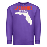 Lacoochee Florida Usa State America Travel Floridian T Shirt Premium Sweatshirt | Teevron