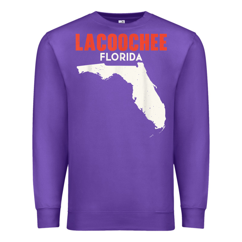 Lacoochee Florida Usa State America Travel Floridian T Shirt Premium Sweatshirt by longCreatives | Teevron