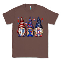 Chestnut USA gnomies 4th of july Classic Tee - HowdyJamesFarm