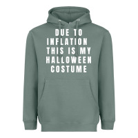 Sage due to inflation, this is my halloween costume pullover Heavyweight Hoodie - longCreatives