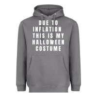 Storm due to inflation, this is my halloween costume pullover Heavyweight Hoodie - longCreatives