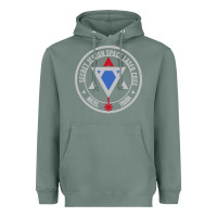 Sage Secret Jewish Space Laser Corps Mazel Tov Funny Prank Heavyweight Hoodie - longCreatives
