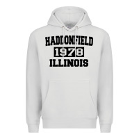 Dove Grey Haddonfield Illinois Halloween 1978 Halloween Spooky Scary Gift Premium Hoodie - longCreatives