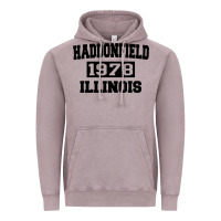 Vintage Zinc Haddonfield Illinois Halloween 1978 Halloween Spooky Scary Gift Vintage Hoodie - longCreatives