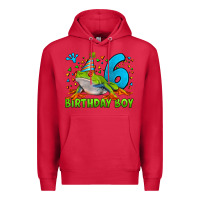 Cardinal birthday boy frog age 6 Premium Hoodie - LillyAllenDesigns