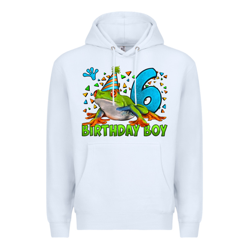 Birthday Boy Frog Age 6 Premium Hoodie by LillyAllenDesigns | Teevron