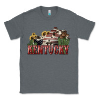 Charcoal Heather Kentucky 4th of july Classic Tee - HowdyJamesFarm