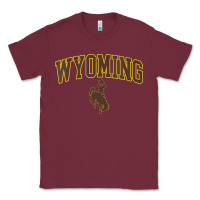 Burgundy Womens Wyoming Cowboys Apparel Fan Favorite Arch Classic Tee - longCreatives