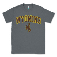Charcoal Heather Womens Wyoming Cowboys Apparel Fan Favorite Arch Classic Tee - longCreatives