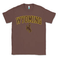 Chestnut Womens Wyoming Cowboys Apparel Fan Favorite Arch Classic Tee - longCreatives