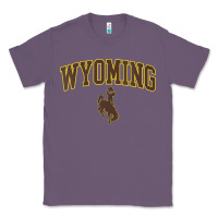 Lavender Womens Wyoming Cowboys Apparel Fan Favorite Arch Classic Tee - longCreatives