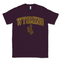Plum Womens Wyoming Cowboys Apparel Fan Favorite Arch Classic Tee - longCreatives
