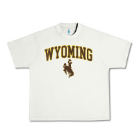 Pistachio Womens Wyoming Cowboys Apparel Fan Favorite Arch Urban Heavy Tee - longCreatives