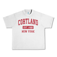 Lunar Rock Cortland New York NY Vintage Sports Design Red Design Sweat Urban Heavy Tee - longCreatives
