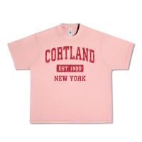 Salmon Cortland New York NY Vintage Sports Design Red Design Sweat Urban Heavy Tee - longCreatives