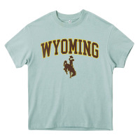 Arona Womens Wyoming Cowboys Apparel Fan Favorite Arch Heavy Core Tee - longCreatives