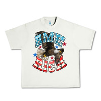 Pistachio American Eagle Urban Heavy Tee - HowdyJamesFarm