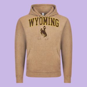 Womens Wyoming Cowboys Apparel Fan Favorite Arch Vintage Hoodie Designed By Longcreatives