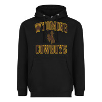 Black Wyoming Cowboys Men's Apparel Gameday Arch Over Cowboys Sweat Heavyweight Hoodie - longCreatives