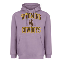 Wyoming Cowboys Men's Apparel Gameday Arch Over Cowboys Sweat Heavyweight Hoodie | Teevron